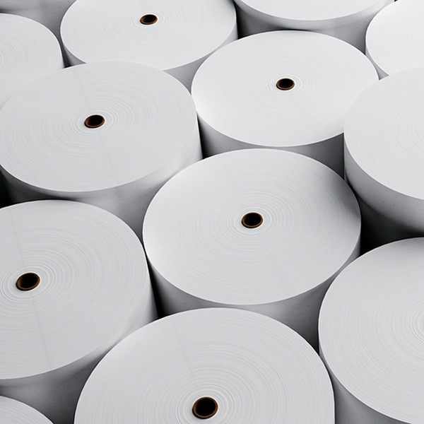 Papel & Celulose
